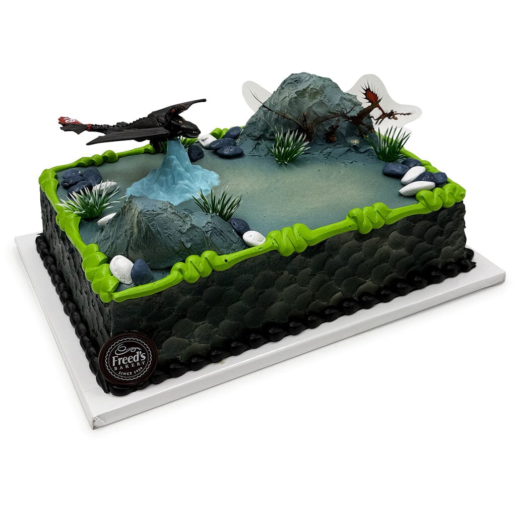 Dragon Training Theme Cake Freed's Bakery