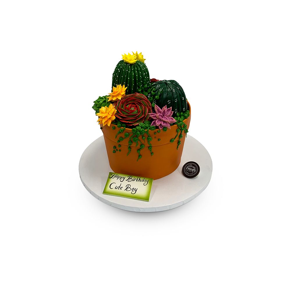 Cactus Garden Cake Theme Cake Freed's Bakery