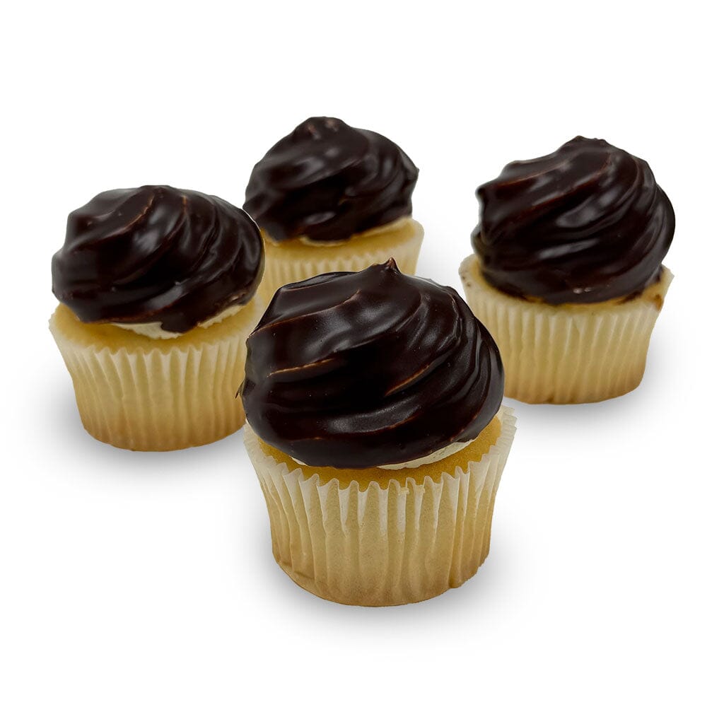 Boston Cream Cupcake Cupcake Freed's Bakery 