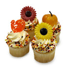Thanksgiving Harvest Cupcakes Theme Cupcake Freed's Bakery 