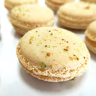 Almond French Macaron French Macaron Freed's Bakery 