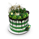 Striped St. Paddy's Theme Cake Freed's Bakery 